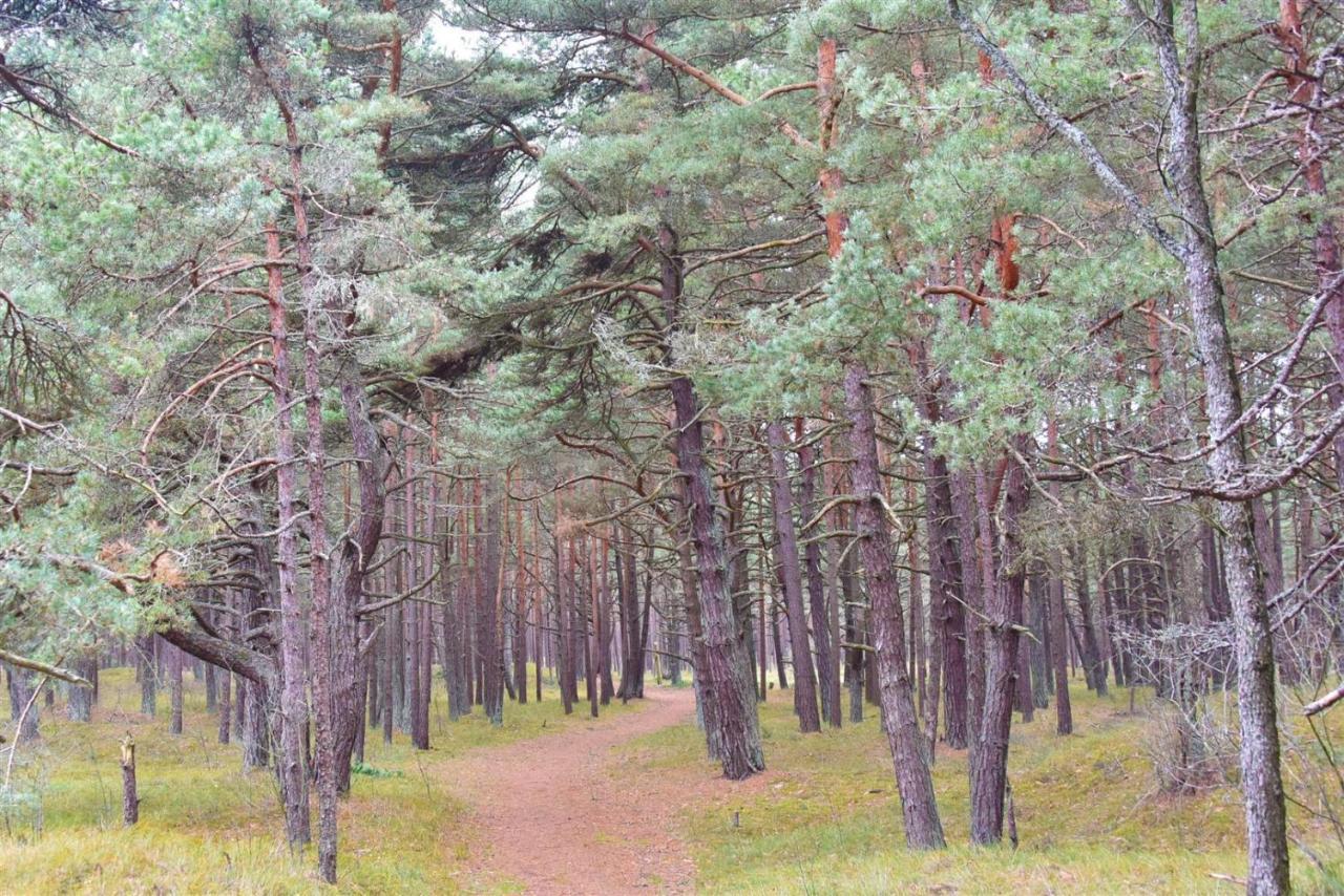 Vila Dia Паланга Екстериор снимка